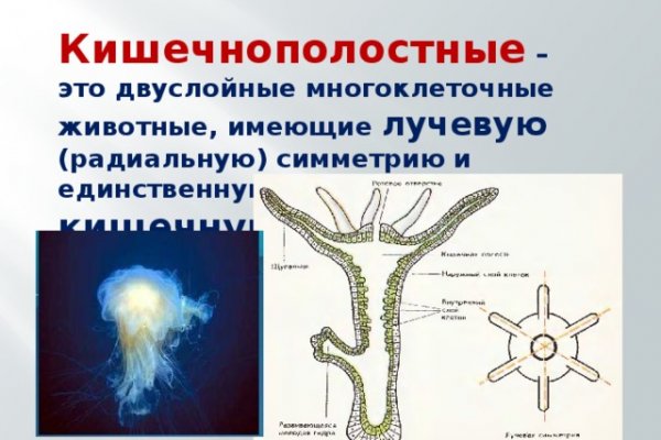 Кракен маркетплейс купить порошок