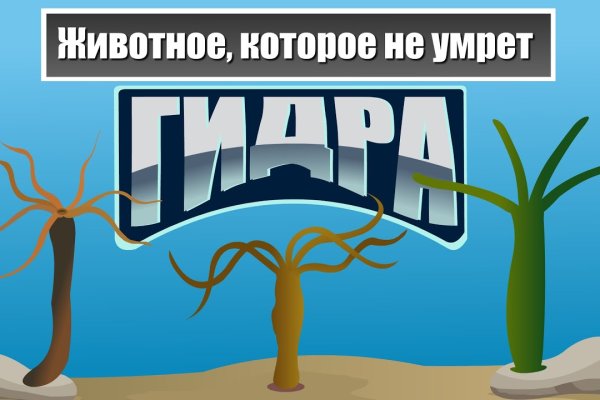 Где купить наркотиков