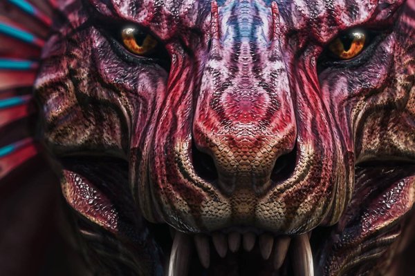 Kraken19 at