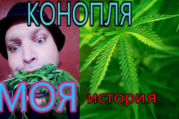 Даркнет заказ
