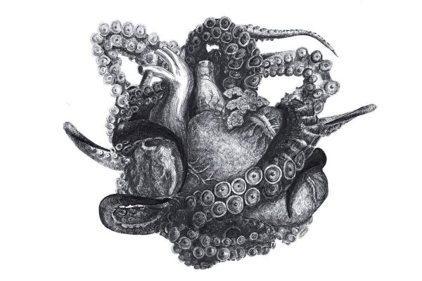 Kraken marketplace