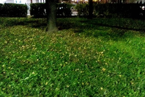 Кракена точка нет