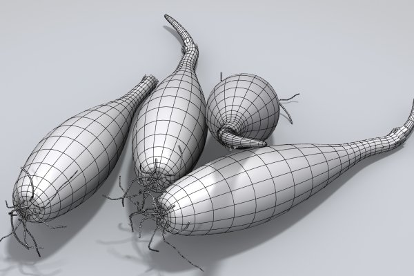 Kraken 18