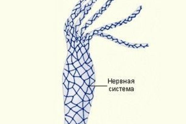 Ссылки на кракен зеркала