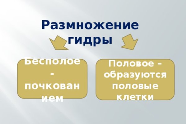 Кракен 22