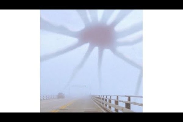 Kraken ссылка на сайт актуальная