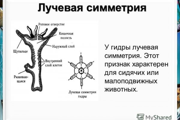 Официальный сайт kraken ссылки зеркала